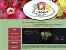 Tablet Screenshot of chisanorchid.com